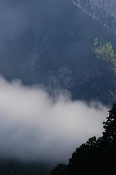 DSC_0084.JPG