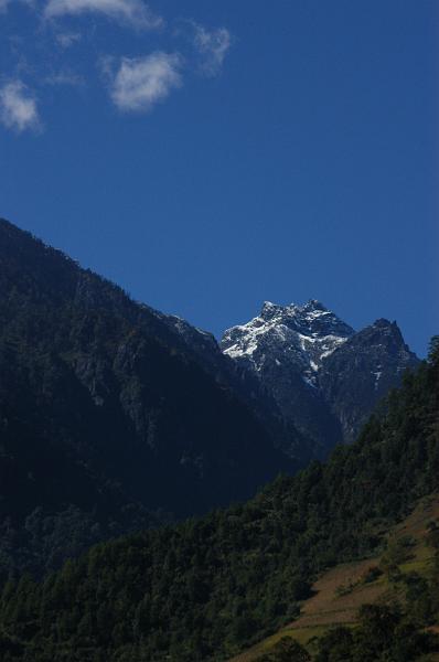 DSC_0103.JPG